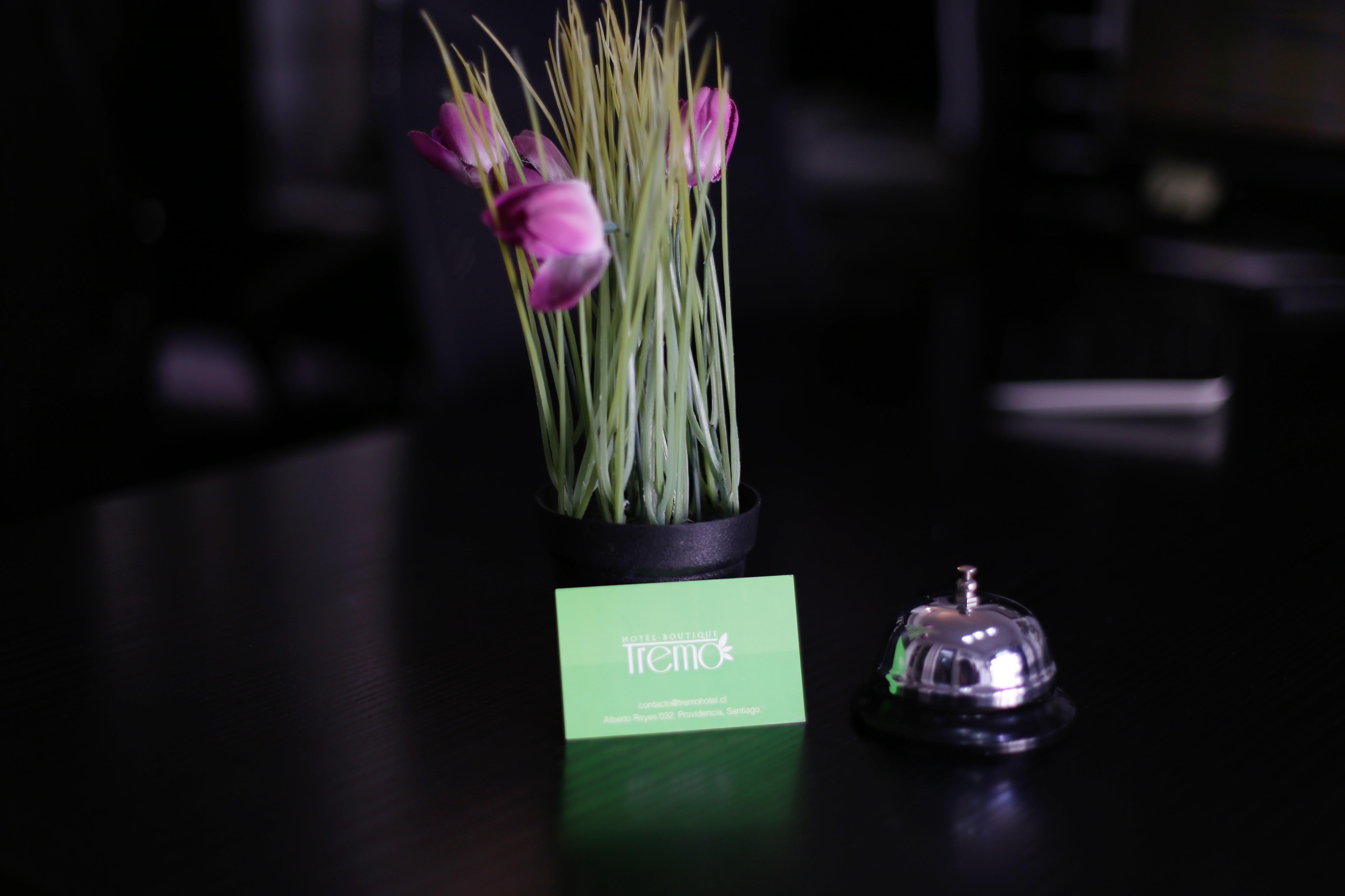 Hotel Boutique Tremo Bellavista Santiago Dış mekan fotoğraf
