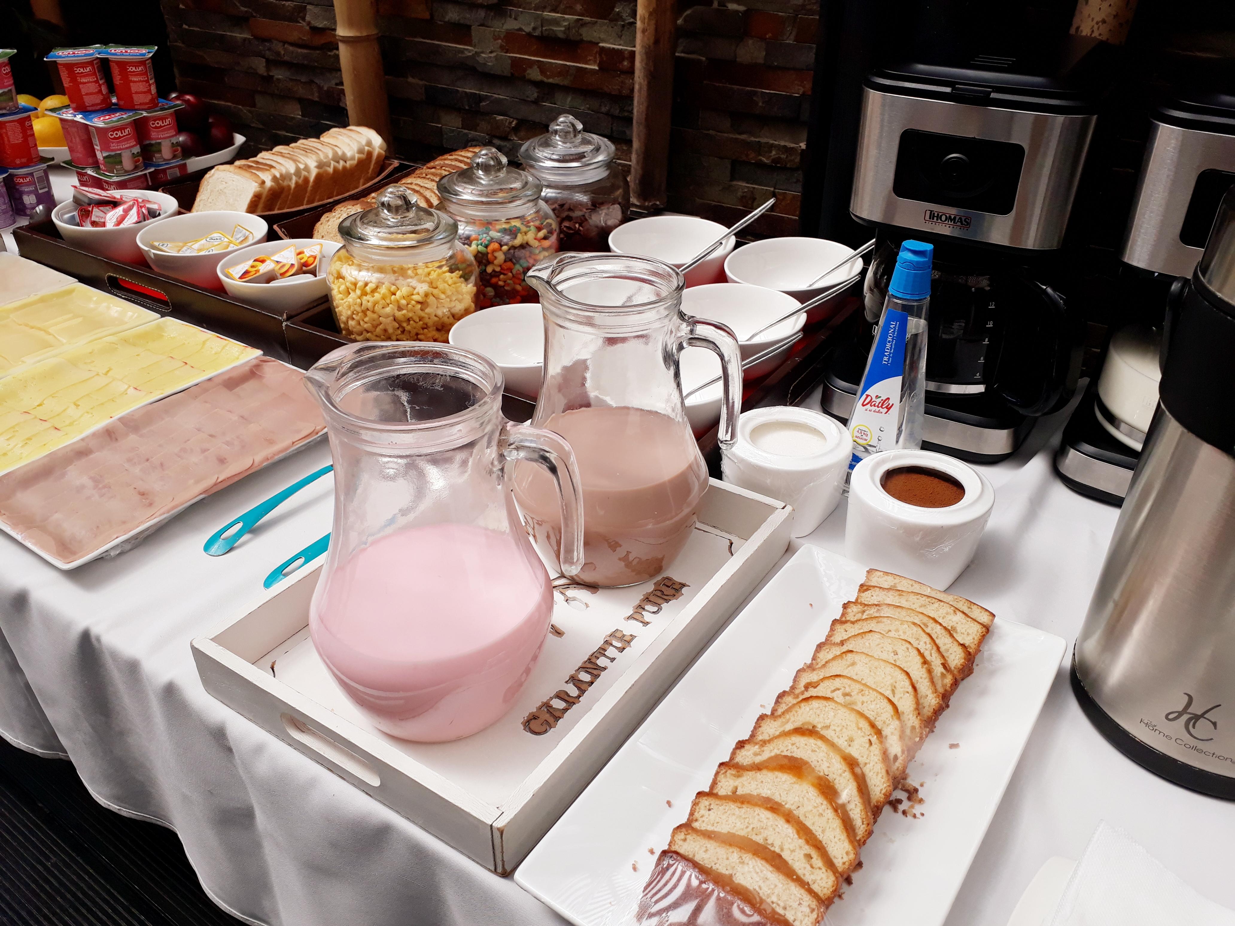 Hotel Boutique Tremo Bellavista Santiago Dış mekan fotoğraf