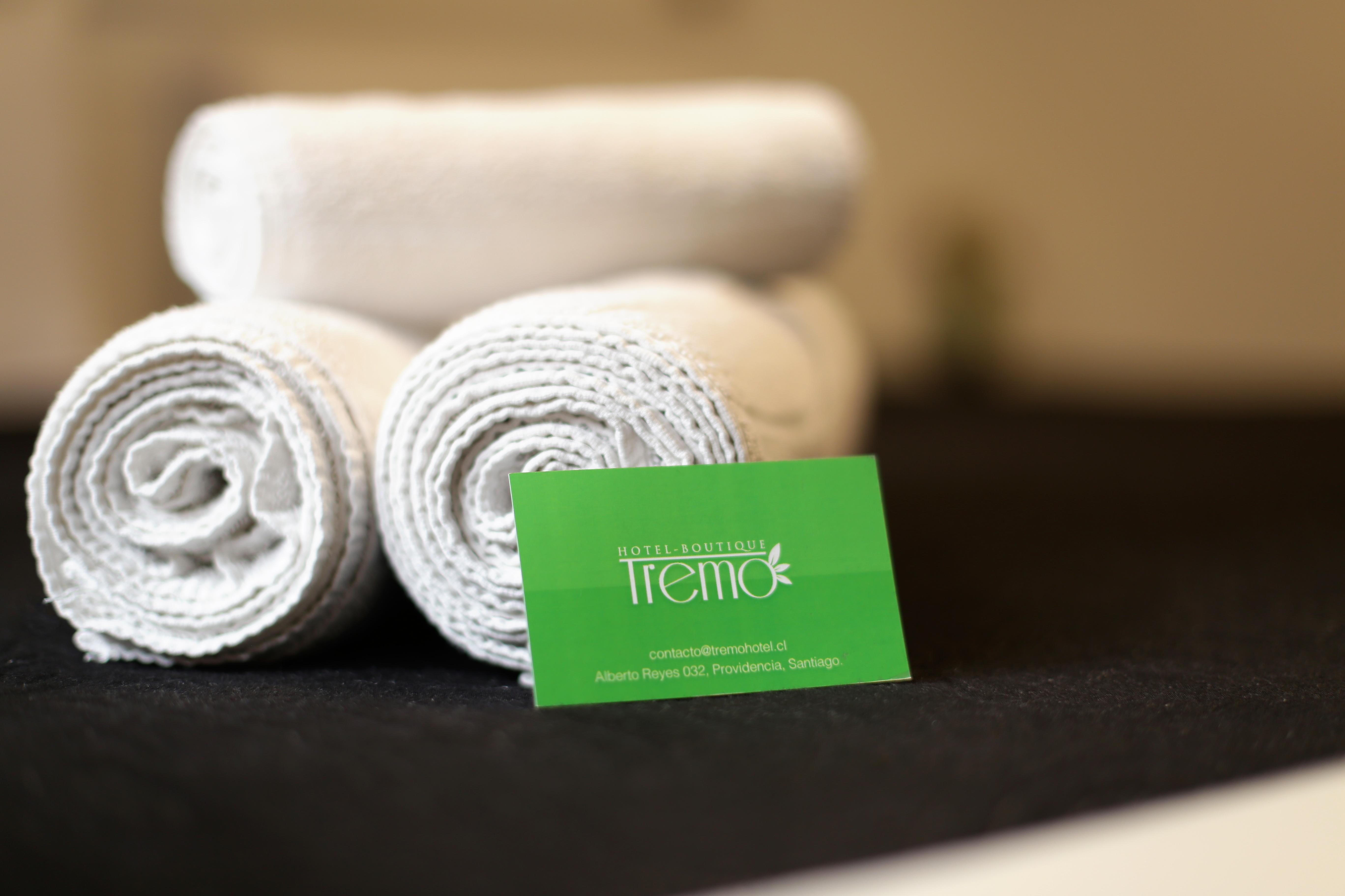 Hotel Boutique Tremo Bellavista Santiago Dış mekan fotoğraf