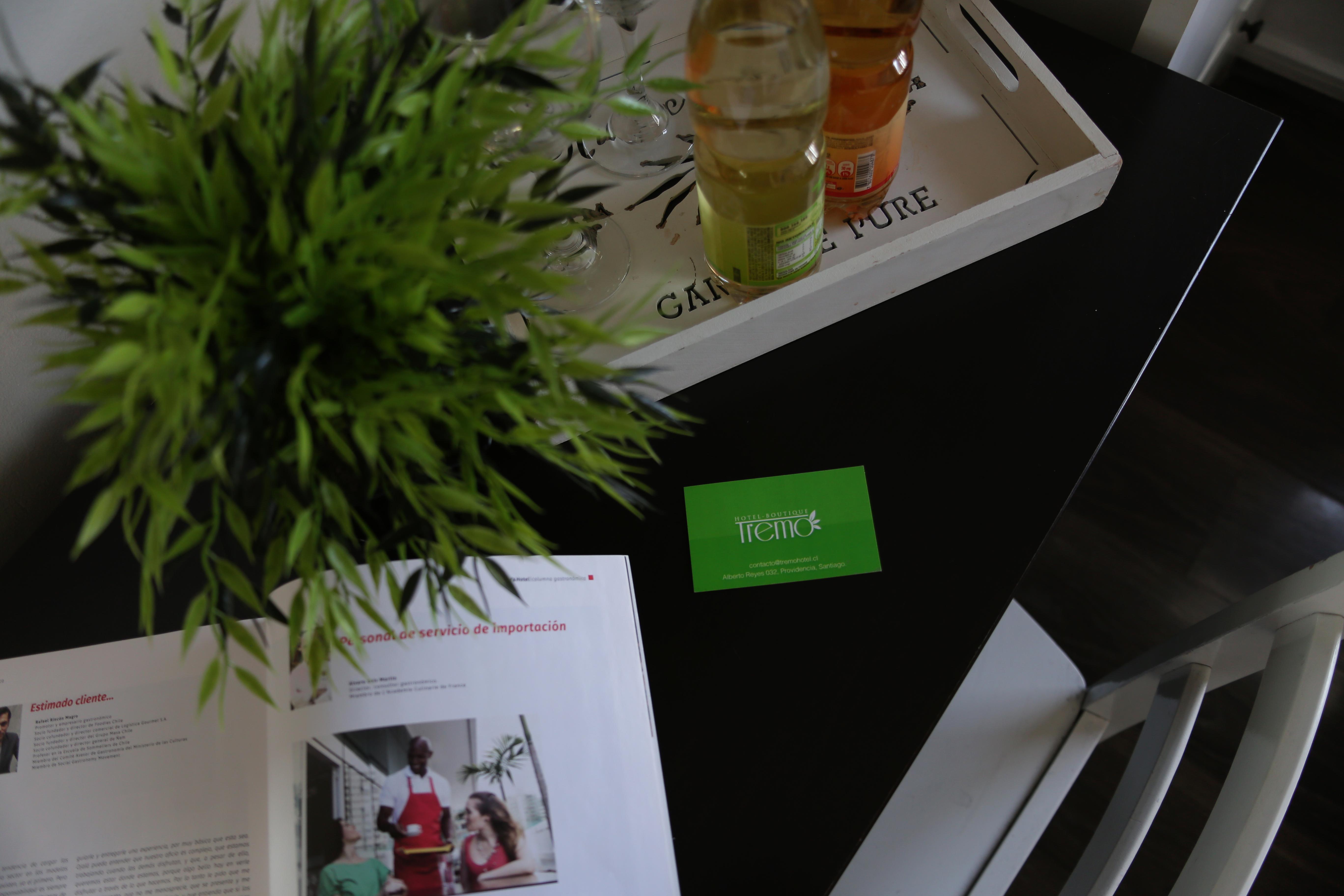 Hotel Boutique Tremo Bellavista Santiago Dış mekan fotoğraf