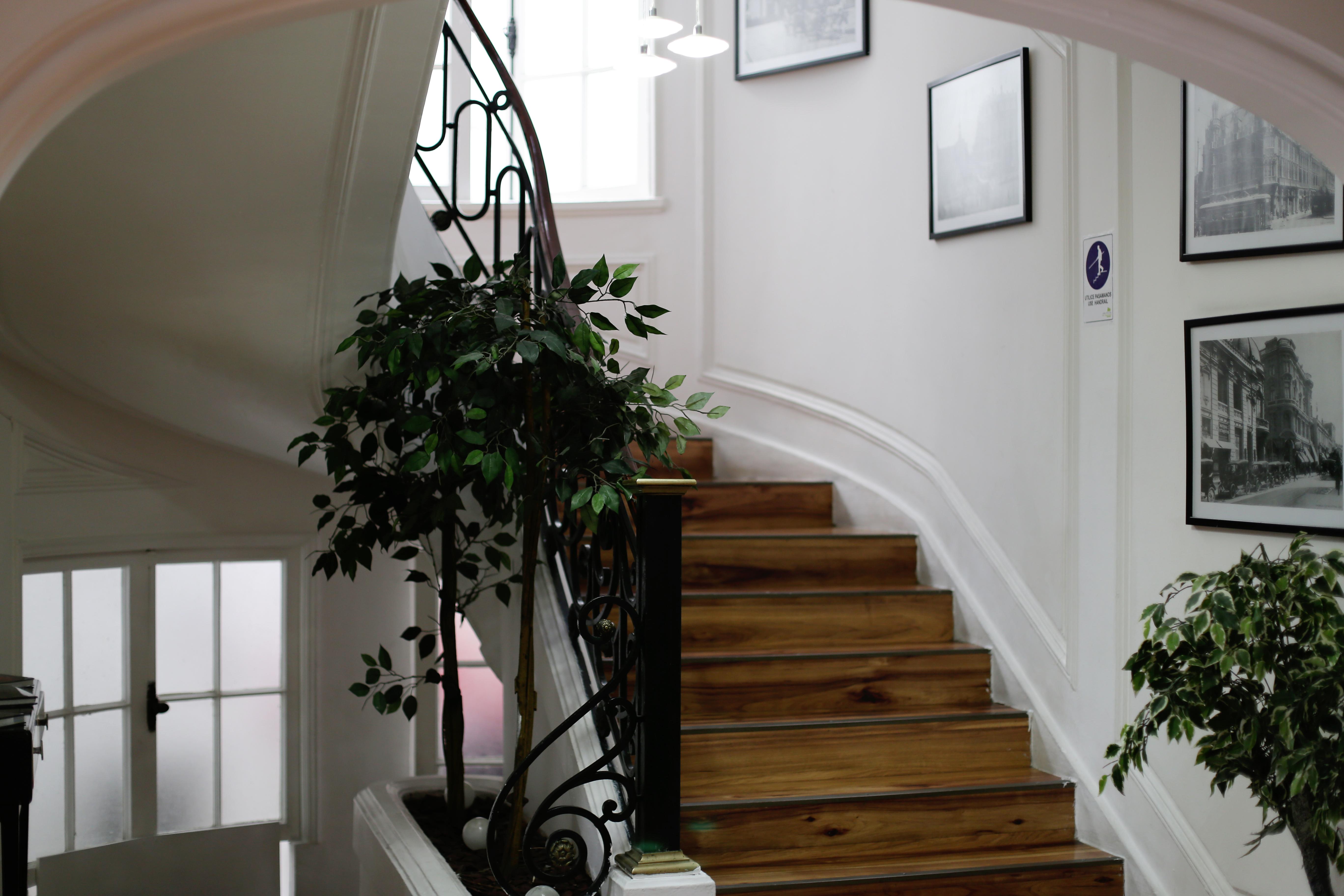 Hotel Boutique Tremo Bellavista Santiago Dış mekan fotoğraf
